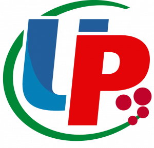 UNIVERSIDAD POLITÉCNICA DEL ESTADO DE GUERRERO